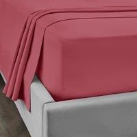 Dorma 300 Thread Count 100% Cotton Sateen Plain Fitted Sheet Rose