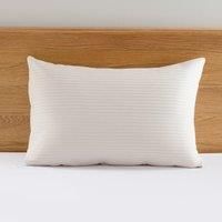 Spencer Pinsonic Pillowsham