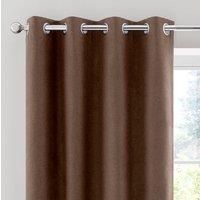 Luna Brushed Blackout Eyelet Curtains