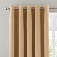 Luna Brushed Blackout Eyelet Curtains