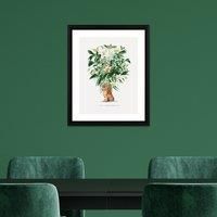 The Art Group Summer Thornton (Tiger Palm) 40x50cm Wall Art