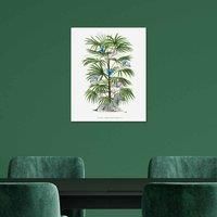 The Art Group Summer Thornton (Zebra Palm) 40x50cm Wall Art