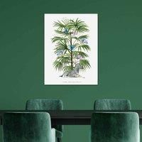 The Art Group Summer Thornton (Zebra Palm) 60x80cm Wall Art