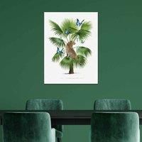 The Art Group Summer Thornton (Leopard Palm) 60x80cm Wall Art