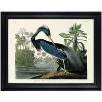 The Art Group John James Audubon (Louisiana Heron) 60x80cm Framed Canvas