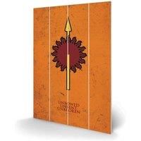 Pyramid International Game of Thrones Martell Wood Print 40 x 59cm, Multi-Colour, 40 x 59 x 1.3 cm