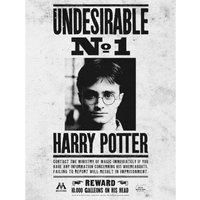 Pyramid International HARRY POTTER Canvas Print Undesirable No. 1 60cm x 80cm, 30cm x 40cm and 40cm x 50cm - Official Merchandise