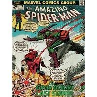 Marvel Spider-man (Green Goblin) - 30 X 40cm Canvas