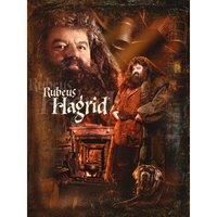 Harry Potter Hagrid Canvas Print (40cm x 30cm) (Brown)