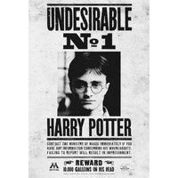 Harry Potter Undesirable No. 1 Framed Canvas Print (40cm x 30cm) (Black/White)