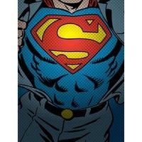 DC Classics Dc Comics superman Torso - 30 X 40Cm