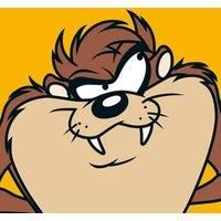Looney Tunes taz - 40 X 40Cm