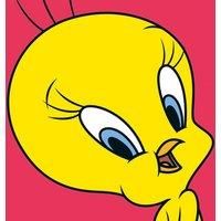 Looney Tunes tweety - 40 X 40Cm
