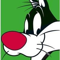 Looney Tunes sylvester - 40 X 40Cm