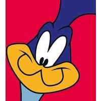 Looney Tunes road Runner - 40 X 40Cm