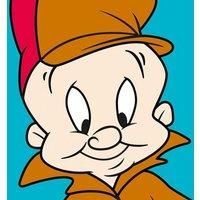 Looney Tunes elmer Fudd - 40 X 40Cm