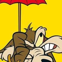 Looney Tunes wile E Coyote - 40 X 40Cm