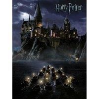 Harry Potter (Hogwarts School) - 40 X 50cm Canvas