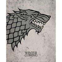 Game Of Thrones stark - 40 X 50Cm