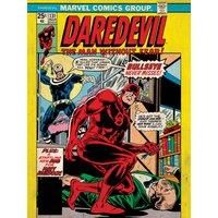 Marvel Daredevil Bullseye Never Misses Canvas, Multi-Colour, 0.96 x 60 x 3 cm