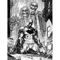 DC Classics Dc Comics batman Haunted - 30X40