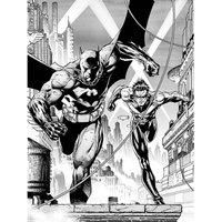 DC Classics Dc Comics batman And Nightwing - 30X40
