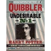 Pyramid International HARRY POTTER Canvas Print Quibbler 60cm x 80cm - Official Merchandise