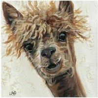 Bad Hair Day 40 x 40cm Canvas Wall Art