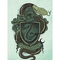 Harry Potter (Slytherin Crest) 60x80 Canvas