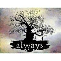 Harry Potter (Always) 60x80 Canvas