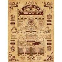Pyramid International HARRY POTTER Canvas Print Official Quidditch Rules 60cm x 80cm - Official Merchandise