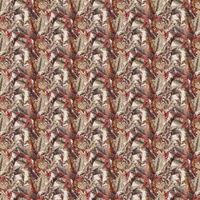 Prestigious Wallpaper Bengal Tiger 1816/667