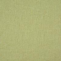 Prestigious Textiles Nimbus Fabric Kiwi