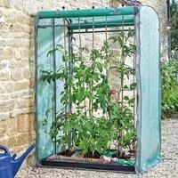 Smart Garden Tomato Gro-Zone Max