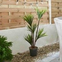 Smart Garden Dragon Tree Faux Plant