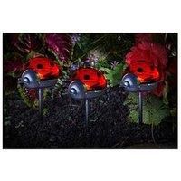 Smart Garden Ladybirds - Triple Pack