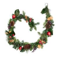 Smart Garden FestiveSpice Garland
