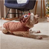 Rudy Rudolph Dog Hoodie - 40cm