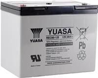 Rec80-12I (12V 80Ah) Yuasa Cyclic Vrla Battery