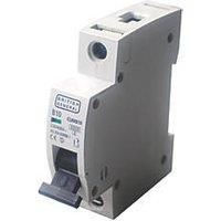 BG B 6A MCB, CUMB6, Type B, Miniature Circuit Breaker