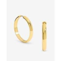 Jon Richard Plated Stainless Steel Large Flat Surface Hoop Earrings - Gold