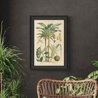 Fruit Trees I Framed Print