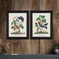 Set of 2 Vintage French Birds Framed Prints