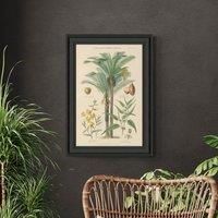 Fruit Trees II Framed Print