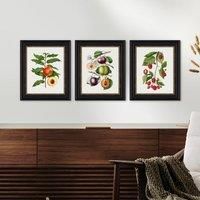 Set of 3 Vintage Fruits Framed Prints