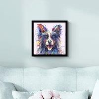 Shep Border Collie Framed Print