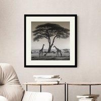 Artko Serengeti Safari Graceful Giraffes Framed Print