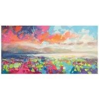 The Art Group Scott Naismith (Resonant Colour) 50x100cm