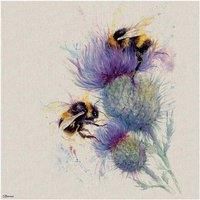 Jane Bannon WDC97249 (Bees on Thistle Canvas Print, Multi-Colour, 60 x 60 cm