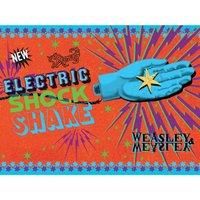 Harry Potter Electric Shock Shake Canvas Print (30cm x 40cm) (Orange/Blue)